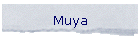 Muya